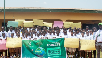 Atwima Mponua: RESCONI commemorates International Day of Forests at Anwiafutu D/A Basic School.