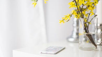 How to Disable Journal Suggestions on iPhone: A Step-by-Step Guide