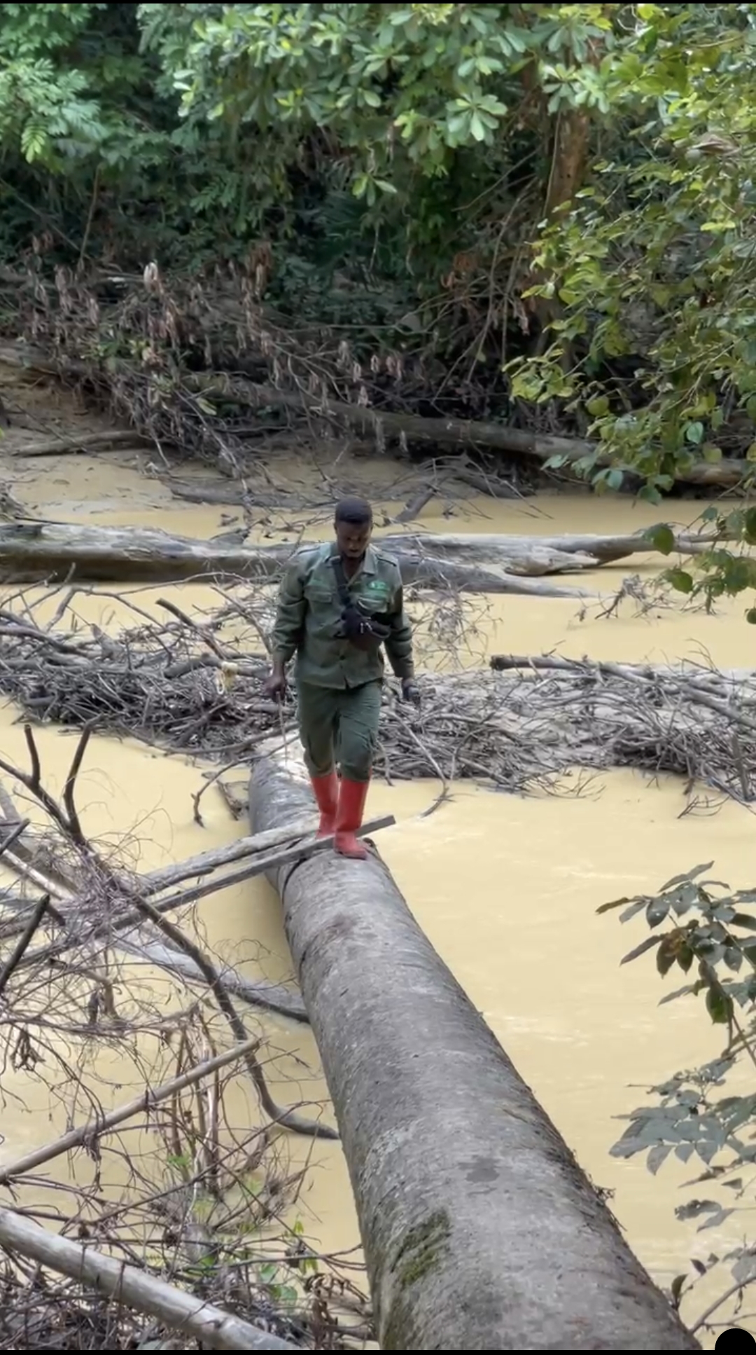 The Impact of Mining on River Bonsa in Tarkwa Nsuaem Municipality By Peter Kwasi Akomatey