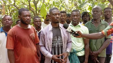 Cocoa Farmers Wreak More Havoc on Barekese Buffer Zone, Angry Youth Push Back Allegation Against Chief of Amoaman
